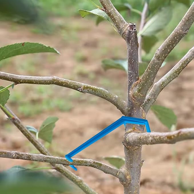 Branch Limb Spreaders for Fruit Trees Apple Tree Limb Spreader to Support New Branches Plastic Black 15 Pieces and Blue 15 Pieces