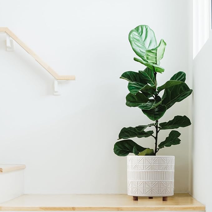 POITONRU Ceramic Plant Pot with Foots: 10 Inch Planter with Wooden Legs - Large Pots for Indoor Plants - Modern Flower Pot for Home Office Patio Garden Windowsill