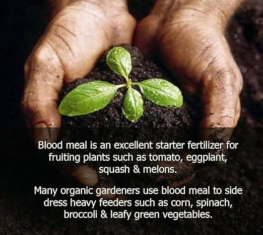 ππππππππππ Organic Blood Meal Fertilizer by Gardenera - 12-0-0 NPK - All-Natural Plant Food Source of Nitrogen for Organic Gardening, Flowers, Vegetables, Trees & Shrubs - 3 QUARTS