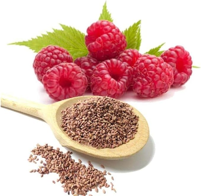 100+ Red Raspberry Seeds: Grow Delicious Heirloom Berries (Non-GMO)