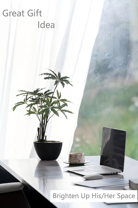 Avoeco Artificial False Aralia-21.2" Plant with Pebbles & Ceramic Pot – Realistic Faux Money Tree – Artificial Bonsai Tree for Home, Office, Boho, Modern,Minimalist & Japanese Decor (Black)