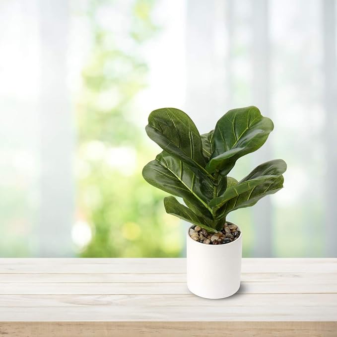 Briful Small Fake Fiddle Leaf Fig Plant - 13" Artificial Ficus Lyrata in White Ceramic Pot for Home Decor Indoor Table Office Bathroom Shelf