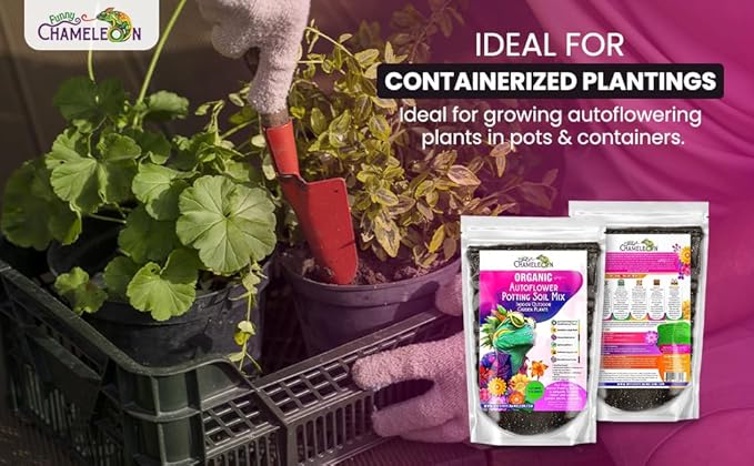 Organic Autoflower Potting Soil Mix ā Ready-to-Use Living Soil, No Fertilizers Needed ā Balanced Nutrients, Light Texture, Excellent Drainage, Boosts Germination & Root Growth (1 Quart)