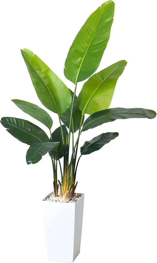 HAIHONG Bird of Paradise Artificial Plant 6FT, Faux Tropical Palm Tree with White Tall Planter, Large Fake Plants in Pot - Artificial Tree for Home Office Living Room Decor Indoor