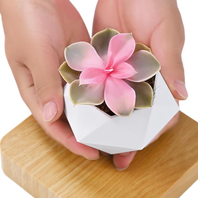 Leekimid Levitating Plant Pot, Magnetic Levitation Flower Pot Suspension Floating Plant Succulents, Air Bonsai Potted Plant for Home Decoration, Living Room, Office, Desk (White)