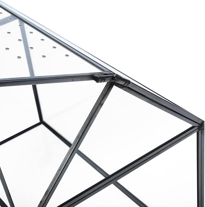HighFree Geometric Glass Terrarium with Acrylic Lid, House Shape Black Terrarium with Breathing Holes for Snails, Succulent, Cacti, Air Plants, 10.3x8.3x5.9 inch (Terrarium Only)