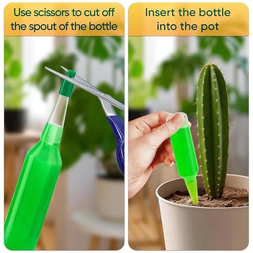 BIOPLENAFEED Cactus & Succulent Plant Food | Easy Cut & Stick Liquid Fertilizer | Made in USA | Promotes Growth & Blooms