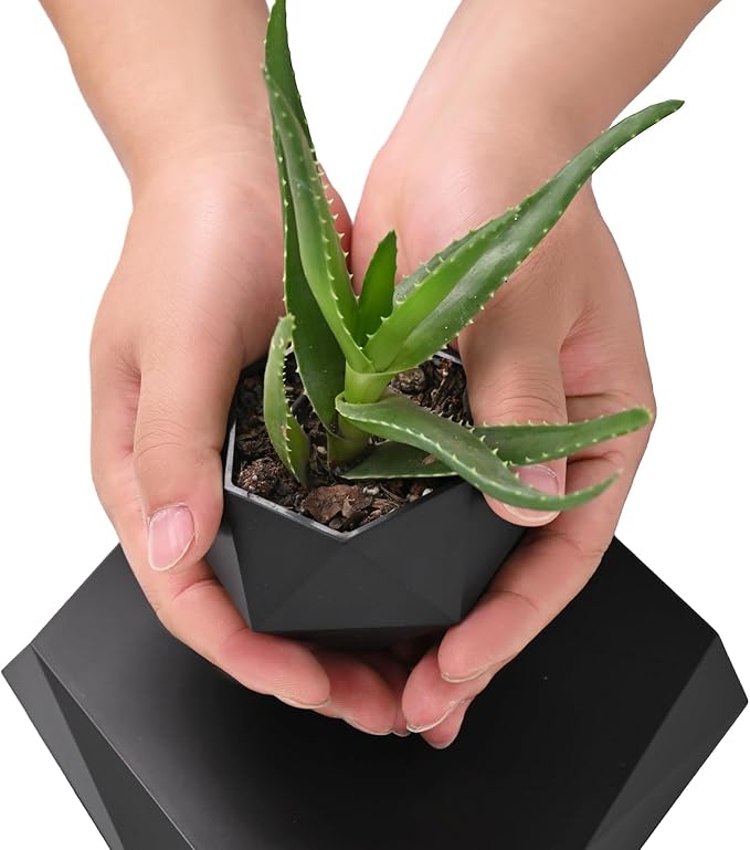Leekimid Levitating Plant Pot, Magnetic Levitation Flower Pot Suspension Floating Plant Succulents, Air Bonsai Potted Plant for Home Decoration, Living Room, Office, Desk (Black)