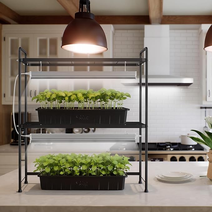SOLIGT Tabletop 2-Tier Plant Stand Shelf with Grow Lights, 36W Full Spectrum 5000K, Timer & Dimmable Lights, Indoor Herb Garden Seed Starting Plant Rack Organizer for Desk & Kitchen Counter