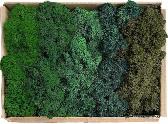 prefleur Preserved Reindeer Moss Natural Green DIY Kit Gardenning Art Wall Decor Florist Decor Easter Table Decor Wedding