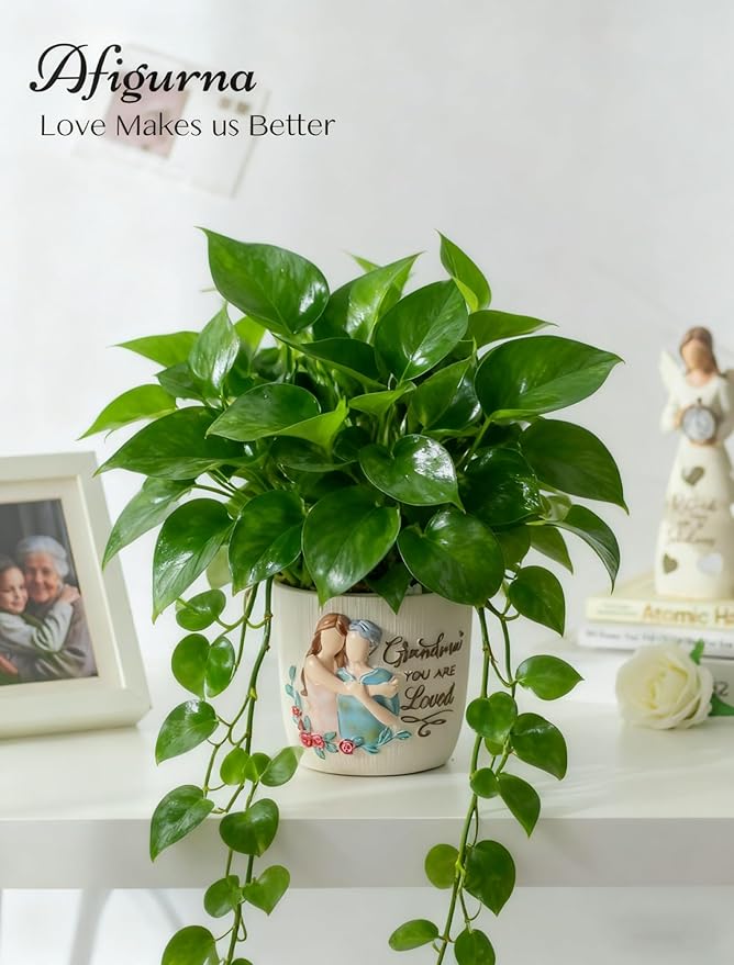 Afigurna Gardening Gift for Grandma: 5.3in Hand-Painted 3D Art Planter - Great Grandma Birthday Gifts from Granddaughter - Meaningful Gigi Present for Grandmother Christmas Mothers Valentines Day