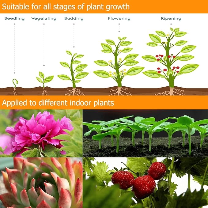 JINHONGTO 3Head Clip Grow Lights for Indoor Plants, Small Pot Plant Grow Light with 3,9,12 Hr Timer, Full Spectrum Bonsai Grow Light, Bright Plant Growing Lamps