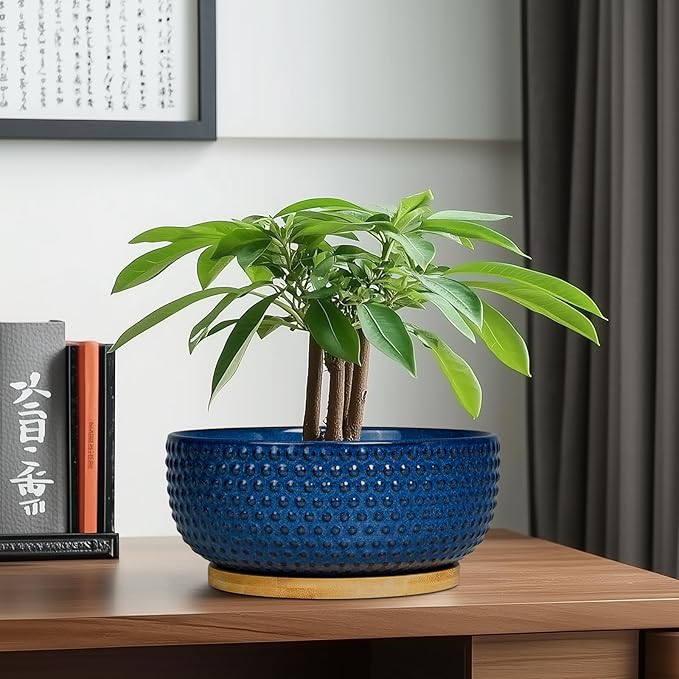 EPFamily Bonsai Pots - 8 Inch Ceramic Pots for Succulent Plants & Bonsai Tree, Planter with Drainage Hole and Saucer, Modern Round Decorative Flower Planters, House Decor, Gifts for Women Man, Blue