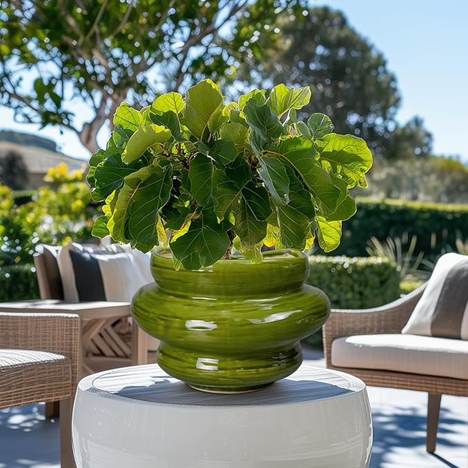 Teagas Ceramic Planters Bonsai 10.6 Inch - Planters with Drainage Hole, Flower Pots for Indoor Plants Outdoor Plants, Large Plant Pot for Home Decor, Gift for Men Women, Green