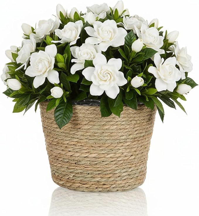 12 Pcs Seagrass Plant Basket with Plastic Liners Woven Stylish Planter Baskets Bulk Indoor Outdoor Plants Woven Wicker Baskets for Flower Pots Cover and Room Decor Small (Small,Rustic)
