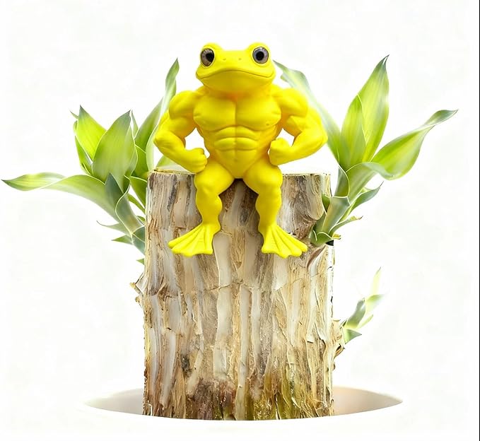 Brazilian Lucky Wood Live Plant | Easy Care Good Luck Indoor Decor | Beginner-Friendly (0-Failure Grow) | Fast Leaf-Growing Feng Shui Wealth Charm (Duck)
