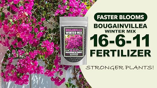 Fertilizer Commercial Grade | Bougainvillea Winter Mix 16-6-11 | 5 Ounces | Custom Professional Mix | Cold-Season Bloom Formula | Controlled Release Nutrition | Micronutrients | Vivid Color & Growth