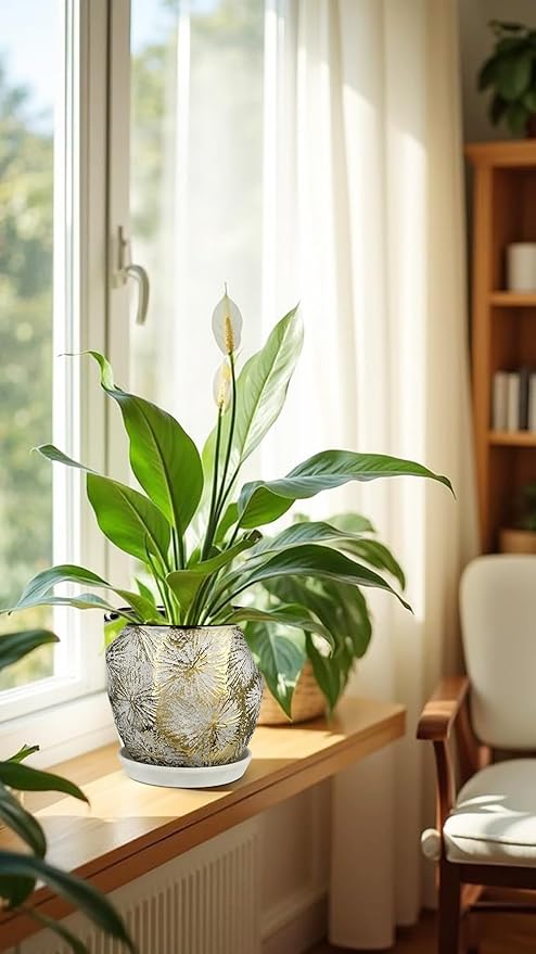 Oairse 6 +5 inch Ceramic Planter Pots Set of 2 Small Round Flower Pots with Drainage Hole and Ceramic Tray for Succulents Cactus Indoor Outdoor Garden Home Windowsill