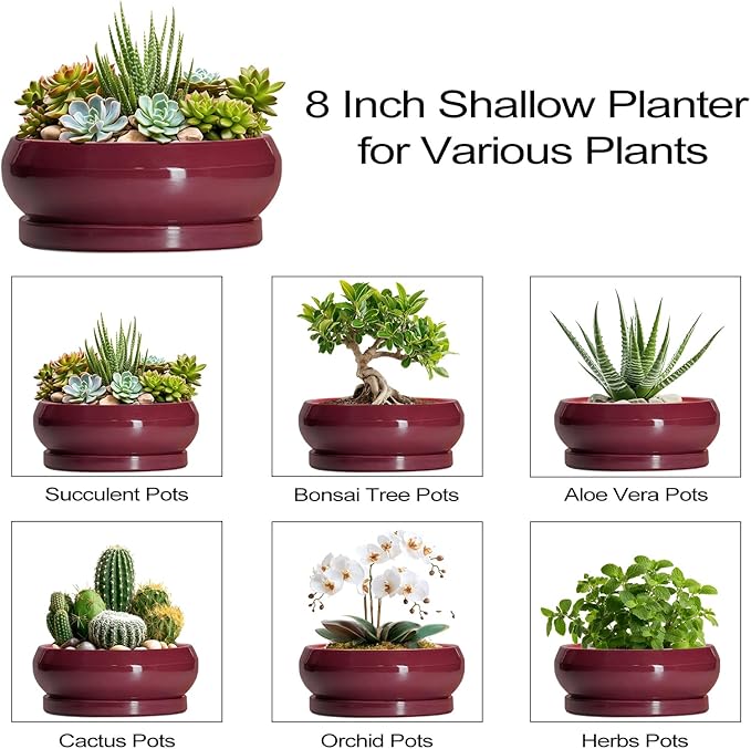 EPFamily Succulent Pots - 8 Inch Bonsai Pots for Indoor Outdoor, Shallow Ceramic Planter with Drainage Hole and Saucer, Round Flower Succulent Planters, Apartment Decor, Gardening Gift, Red