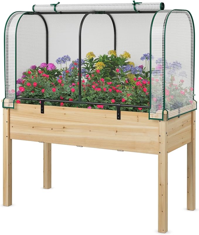 Toolsempire Raised Garden Bed with Greenhouse, Waterproof Sun-Protective Green House with Roll-Up Door & Electroplated Metal Frame, Fir Wood Elevated Planter Box with Drainage Holes(White+Natural)