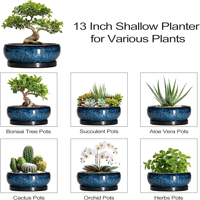 EPFamily Bonsai Pots - 13 Inch Ceramic Succulent Pots for Indoor Outdoor, Large Succulent Planter with Drainage Hole and Saucer, Round Shallow Flower Planters, Porch Decor, Gardening Gifts, Blue