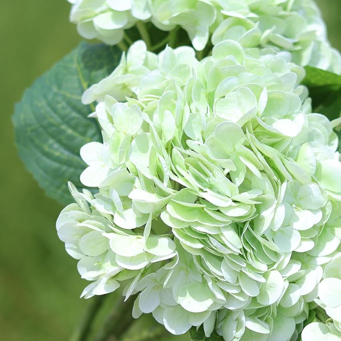 Green Hydrangea Artificial Flowers - High-End 22.5cm Oversized Heads (4pcs) | Real-Touch Design | Perfect for Christmas, Weddings, Home Decor, Parties & Outdoor Use (Light Green)