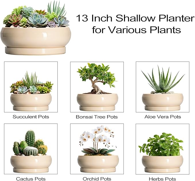 EPFamily Large Succulent Planters - 13 Inch Ceramic Bonsai Pots Indoor Outdoor, Shallow Planter with Drainage Hole and Tray, Round Planter Bowl, Large Bonsai Pot, Home Decor, Housewarming Gift, Beige