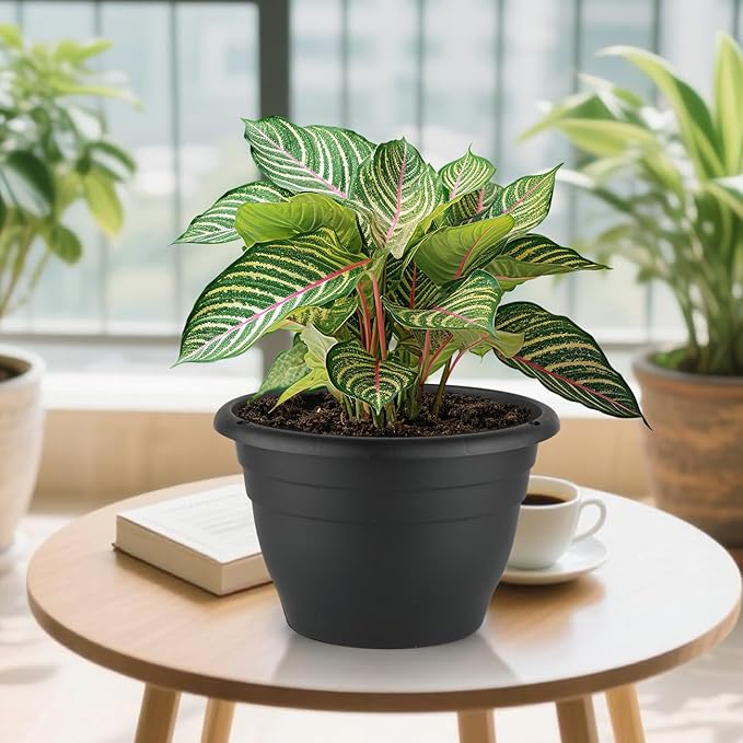 RooTrimmer Plant Pots Set of 5, 10" Outside Diameter Flower Pots, 8.5" Inner Diameter Planters with Drainage Hole, Durable Perfect for Indoor & Outdoor Plant Planting, Decor, Black
