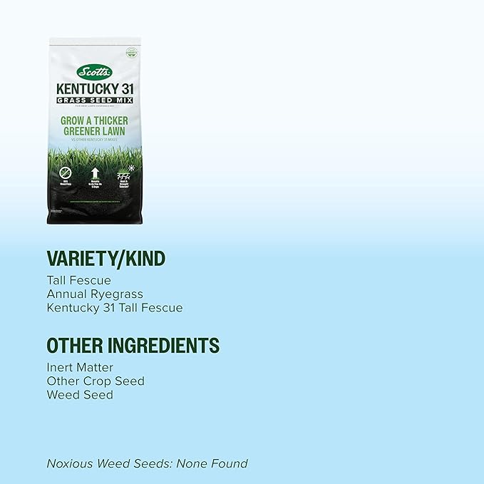 Scotts Kentucky 31 Grass Seed Mix for New Lawns or Overseeding, Grows Thicker and Greener vs. Other Kentucky 31 Mixes, Covers up to 10,000 sq. ft.