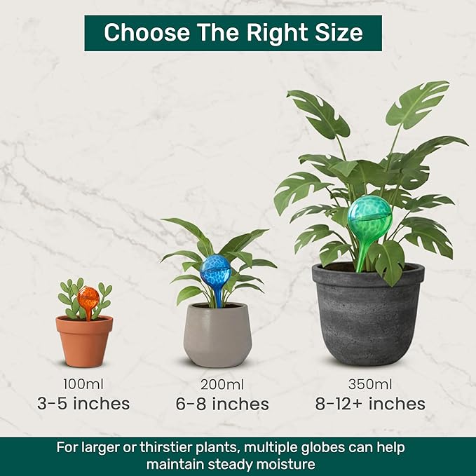 Automatic Plant Watering Globes Self Watering Planter Inserts (Set of 6) | Hands Free Clear Glass Bulbs | Planter Spikes to Support Indoor & Outdoor Plant Health (200ml)