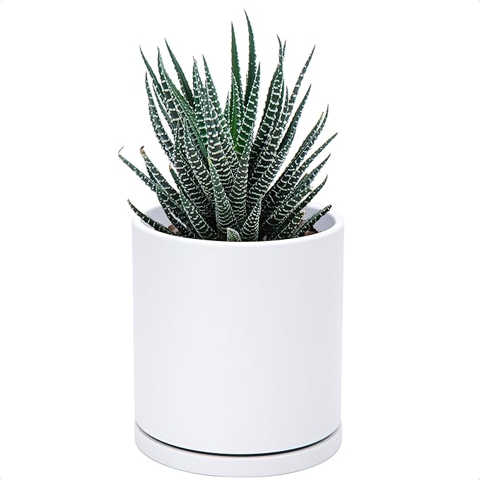 D'vine Dev Double-Layer Planter Set – Rotating Plastic Cachepot with Clear Inner Liner for Root Health, Perfect for Indoor Plants, 4.5", White, 73-U-A-1