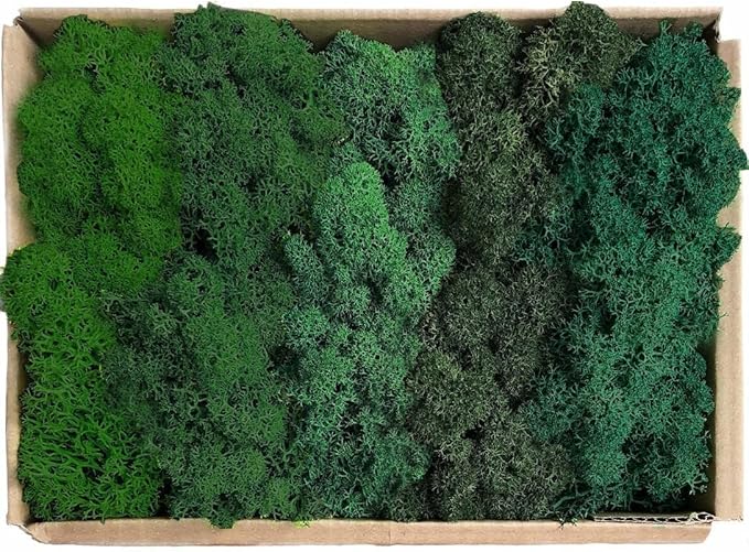 prefleur Preserved Reindeer Moss Natural Green DIY Kit Gardenning Art Wall Decor Florist Decor Easter Table Decor Wedding