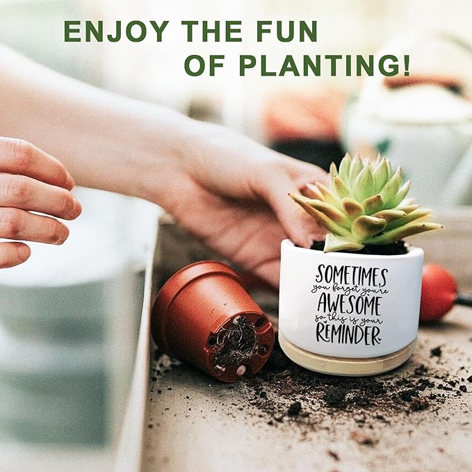 Aryabtya Cute Succulent Planter, Flower Cactus Plant Pot Gifts, Thank You Inspirational Gifts for Women Men Coworkers Teachers Plant Lovers, Office Home Windowsill Indoor Decor (No Plants)