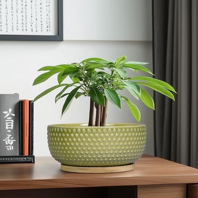 EPFamily Bonsai Planter - 8 Inch Ceramic Succulent Pots with Drainage Hole and Saucer for Indoor Plants, Boho Shallow Round Planter Bowl, Desk Decor, Garden Lover Gifts, Green