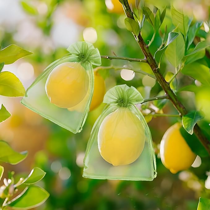 50 PCS 4X6 inches Fruit Protection Bags, Fruit Bags for Fruit Trees, Green Netting Fruit Cover Bags Drawstring Mesh Fruit Protectors Pest Barrier for Fruit Trees Veggies Garden