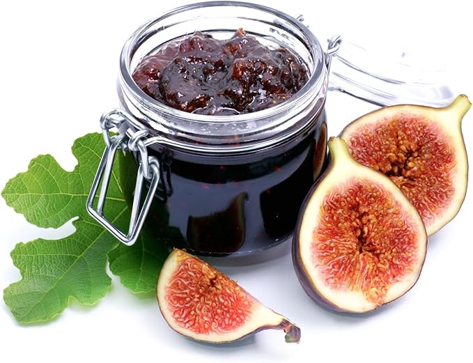 Violette de Bordeaux Fig Trees Live Plants – Set of 4 Starter Fig Plants – Compact, High-Yielding Variety with Rich, Sweet Fruit – Ideal for Containers and Small Gardens – Cold Hardy and Easy to Grow