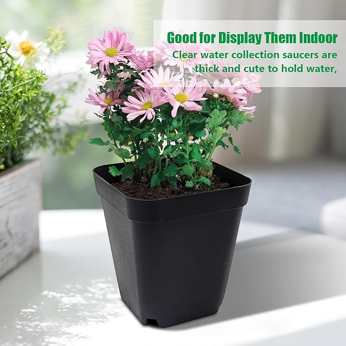 RooTrimmer Square Nursery pots 4 Inches 60Pcs, Seedling Plastic Seeds propogation Growing Pots (Black,4Inches,60Pcs)