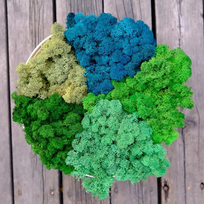 prefleur Preserved Reindeer Moss Natural Green DIY Kit Gardenning Art Wall Decor Florist Decor Easter Table Decor Wedding