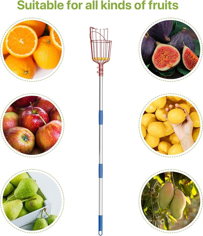 Fruit Picker Tool 10 ft Long, Extendable Fruit Picker Pole with Basket Telescoping, Apple Fruit Tree Picker Pole with Stainless Steel Pole for Mango, Orange, Fig, Lemon