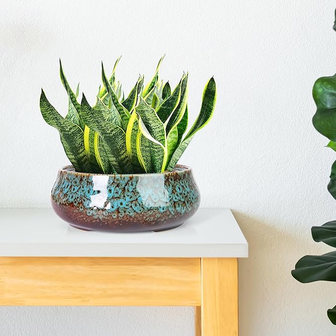 ARTKETTY Succulent Pots - 8 Inch Plant Pot, Large Bonsai Pots with Drainage, Ceramic Planters for Indoor Outdoor Plants, Round Shallow Cactus Flower Plant Container Bowl Decorative Home Garden