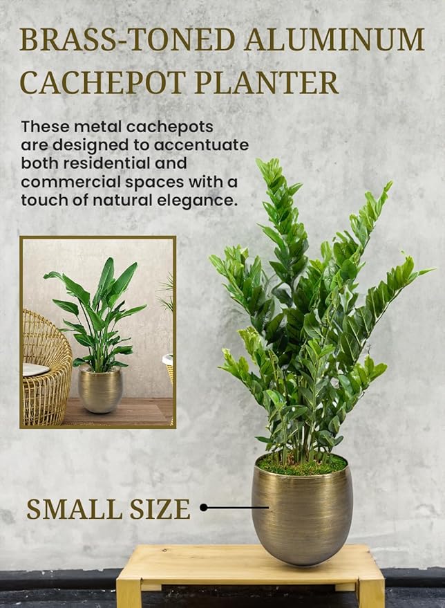 Serene Spaces Living Brass-Toned Aluminum Cachepot Planters, Handcrafted in India, Elegant Wedding, Home & Office Decor, Vintage Planter for Indoor Plants, Flowers, Table Centerpieces, Small, Set of 4
