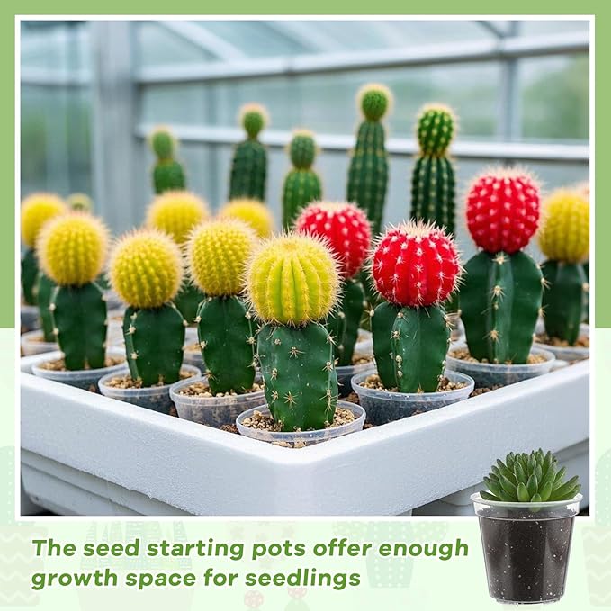 Yaomiao 30 Pcs 4 Inch Clear Mini Plastic Plant Pot Nursery Seedling Pots Seed Starter with Drainage Holes for Indoor Outdoor Garden Succulent Plants Cuttings Transplanting