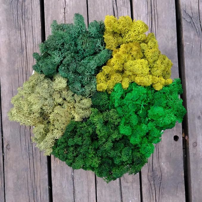 prefleur Preserved Reindeer Moss Natural Green DIY Kit Gardenning Art Wall Decor Florist Decor Easter Table Decor Wedding
