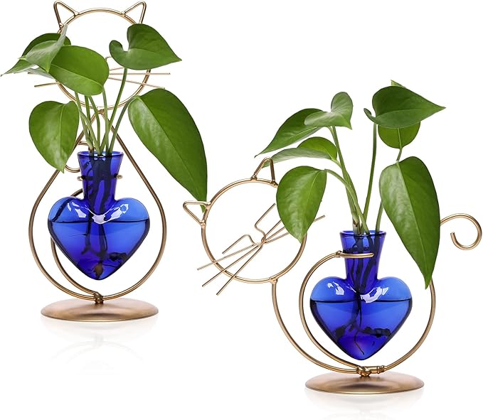 Plant Terrarium Plants Propagation Station Cat Lover Gifts for Women Home Office Decor Cat Desk Accessories