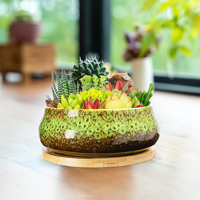 ARTKETTY Succulent Pots - 8 Inch Plant Pot, Large Bonsai Pots with Drainage Tray, Ceramic Planters for Indoor Outdoor Plants, Round Shallow Cactus Flower Plant Container Bowl Decorative Home Garden