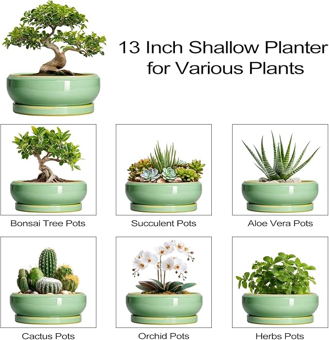 EPFamily Large Bonsai Pots - 13 Inch Ceramic Succulent Pots for Indoor Outdoor, Ceramic Planter with Drainage Hole and Saucer, Shallow Round Planter, Garden Decor, Gifts for Women Men, Light Green