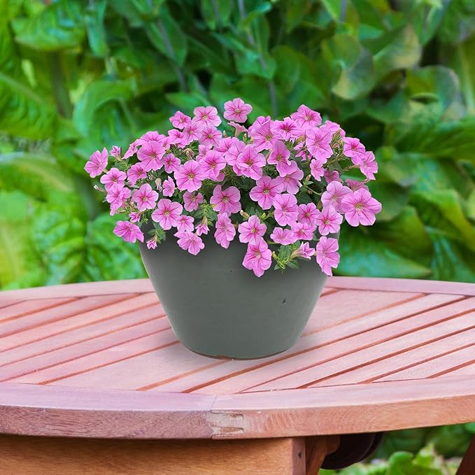Sunnydaze Large Ceramic Plant Pot - Round Outdoor Glazed Ceramic Planter Pot with Drainage - Chalet - Gray - 14.5"