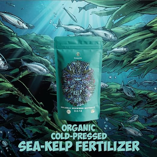 Kelp it Real Organic Seaweed Fertilizer for Plants - Makes 200 gallons - OMRI Listed - Vegan Certified - for Indoor Gardeners, Houseplants, Fruits, Vegetables, Hydroponics - (8oz)