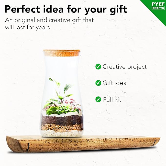 PYEF CRAFTS DIY Terrarium Kit for Adults – Build Your Own Self‑Sustaining Closed Ecosystem – 34 fl oz (1‑Liter) Glass Terrarium – Succulents, Air Plants, Fittonia, Fern – Plants Not Included