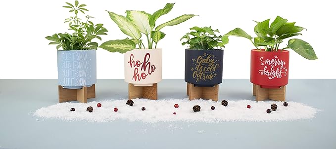 Ceramic Holiday Planter Pot, Ho Ho Ho Design, Creme & Red, Holds 4" House Plant or Succulent, Festive Winter Christmas Home Décor with Wood Stand